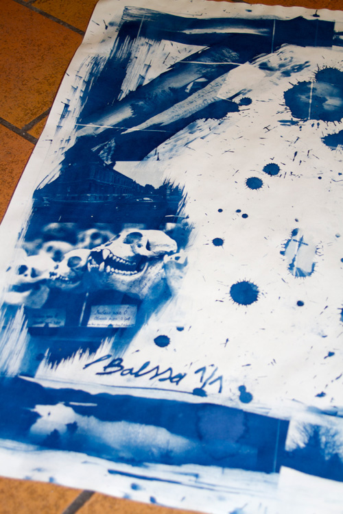 Cyanotype
