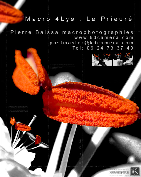 Fly serie hotel le prieuré