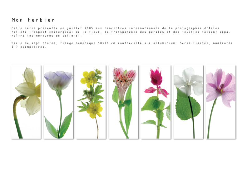 My bookphotoservice4